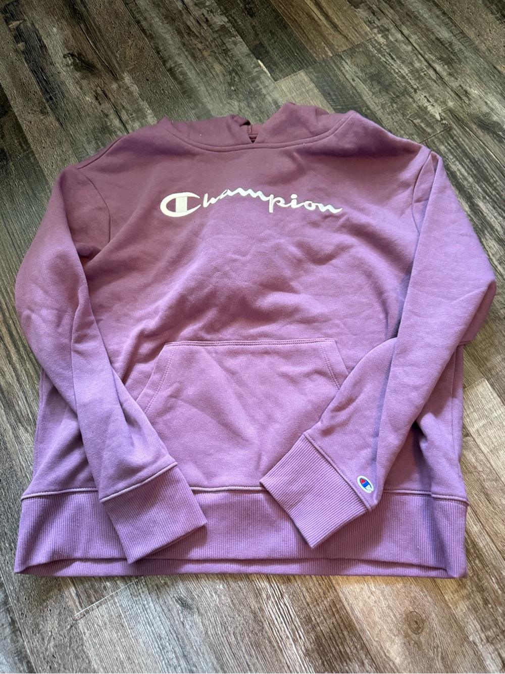 Champion Sweater